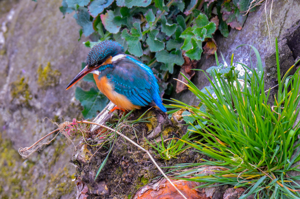 見慣れない？？