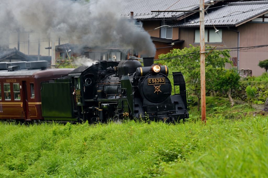 パレオエクスプレス