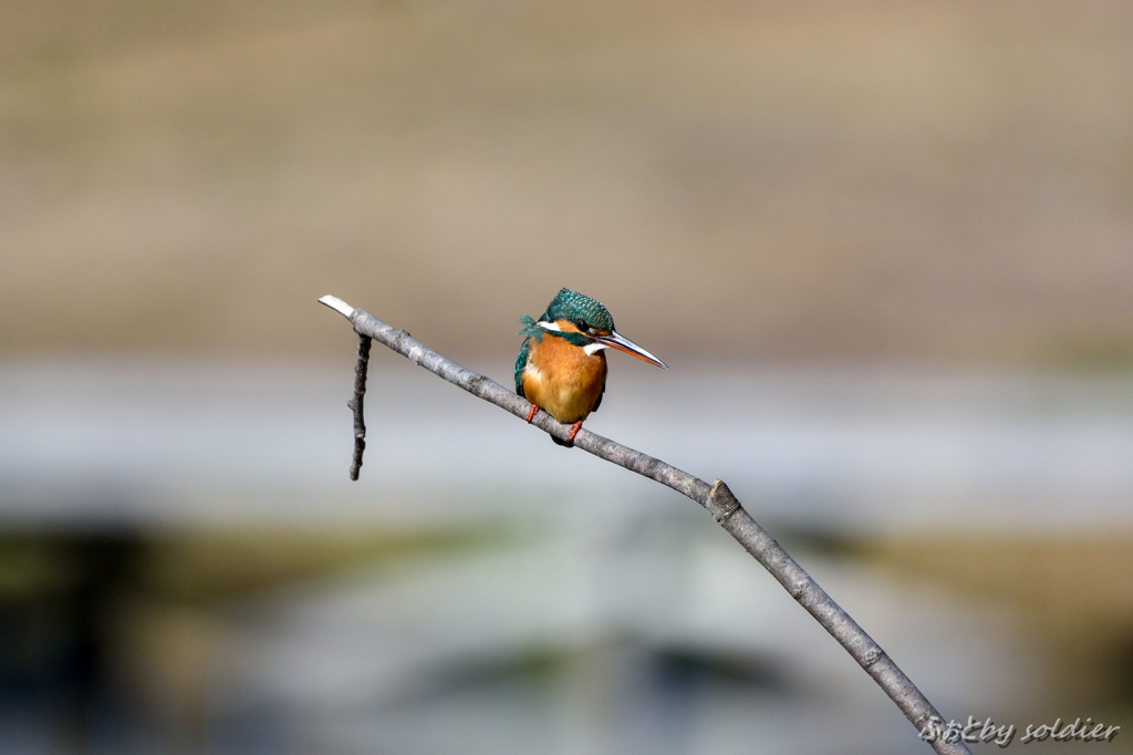 開放でもいい感じだね