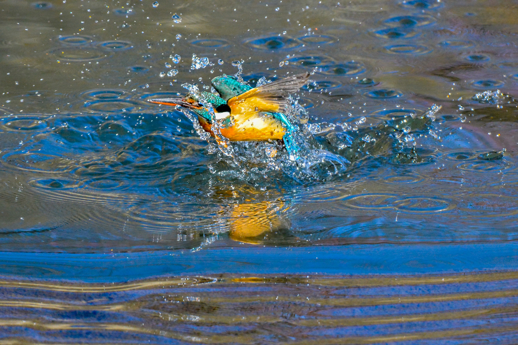 寒いけど・・・