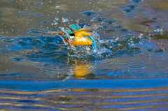 寒いけど・・・