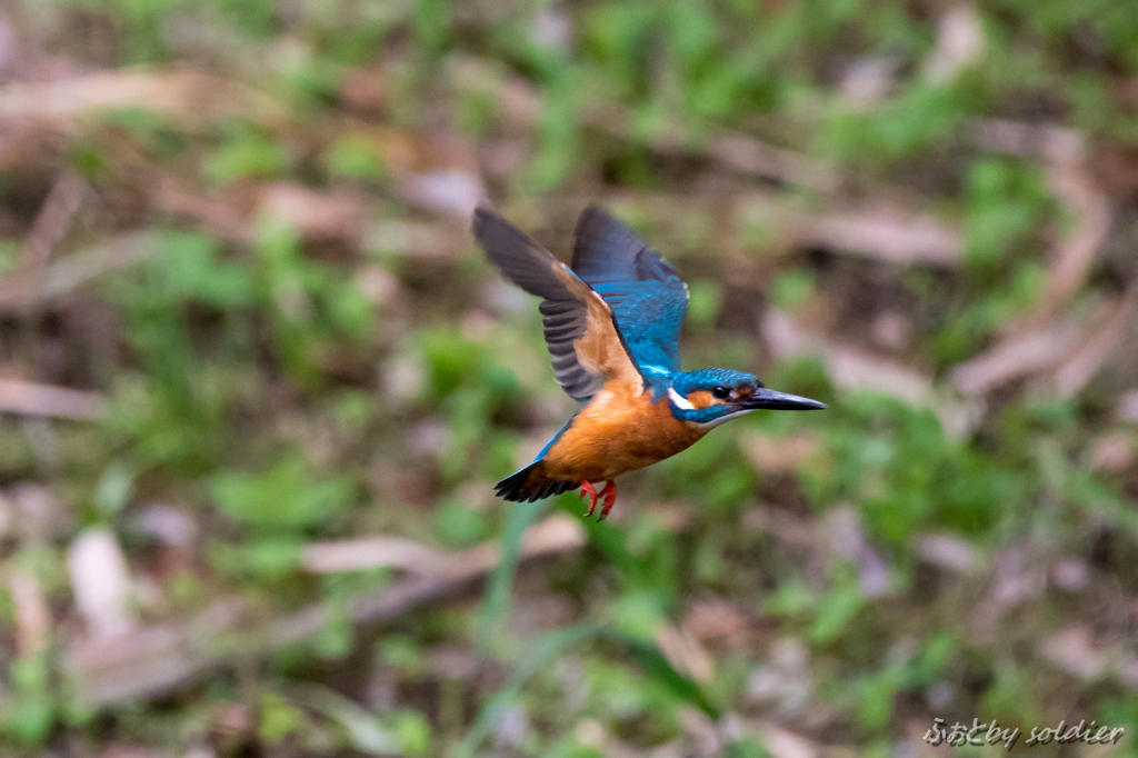 GW最後の週末は・・#1