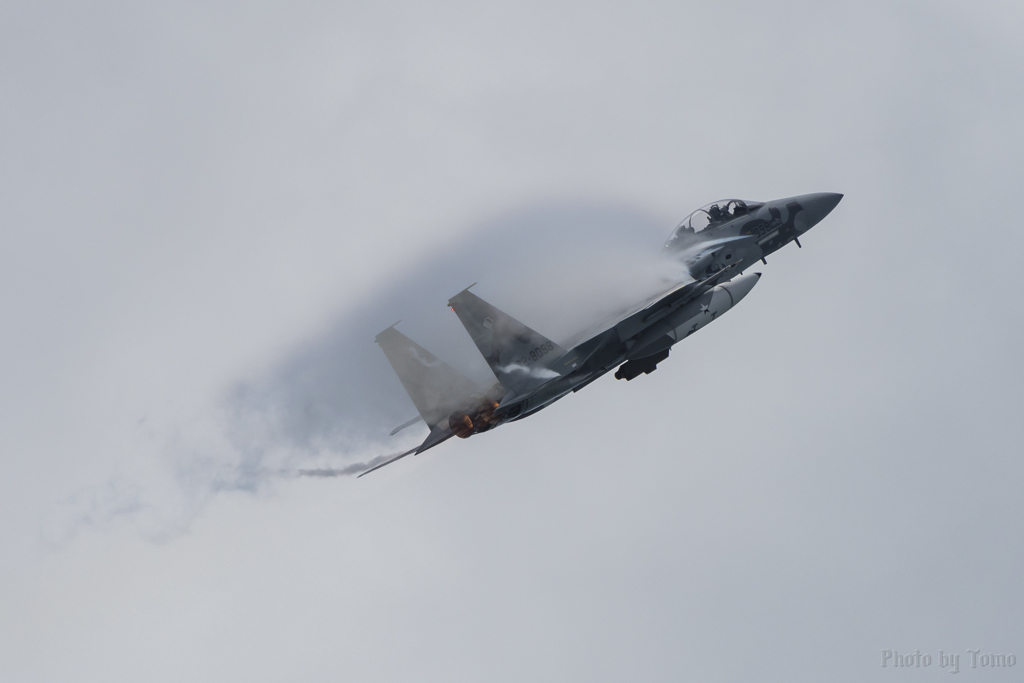 小松モフモフ祭り 4