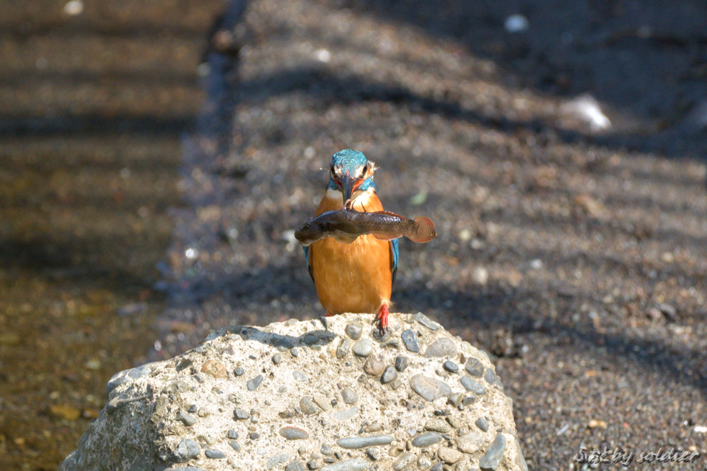 しまった・・？