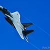 岐阜基地航空祭2015　F-15　③