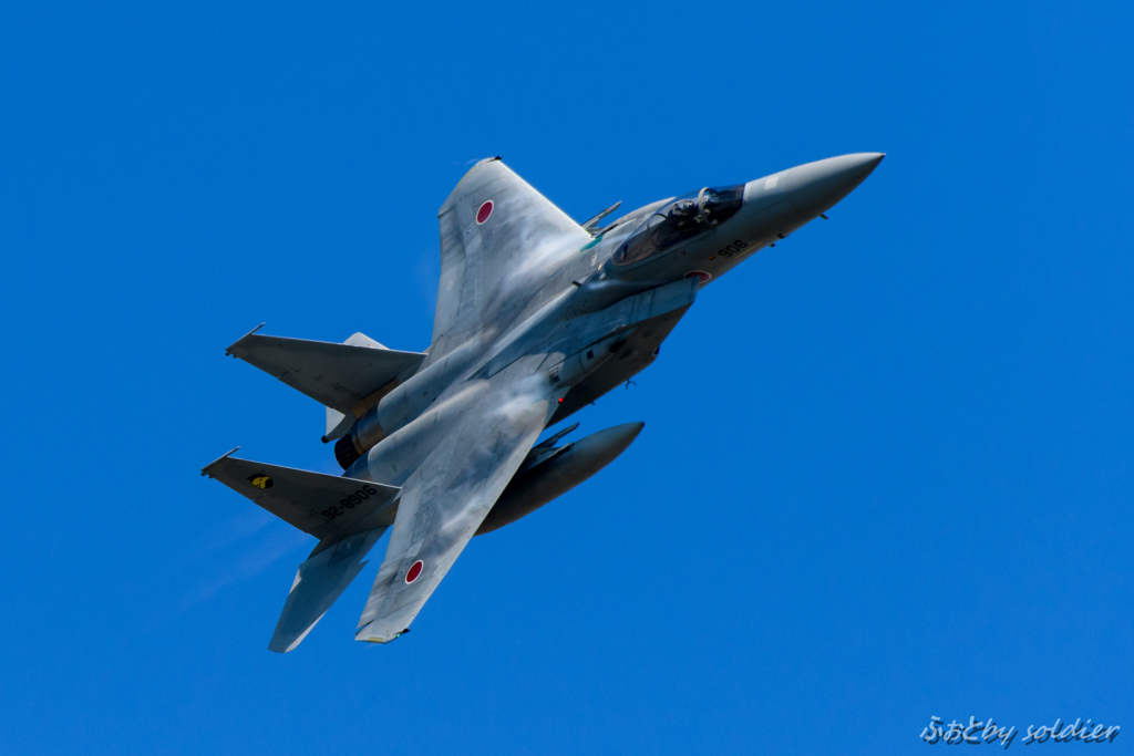 2016A･F浜松_F-15 ①