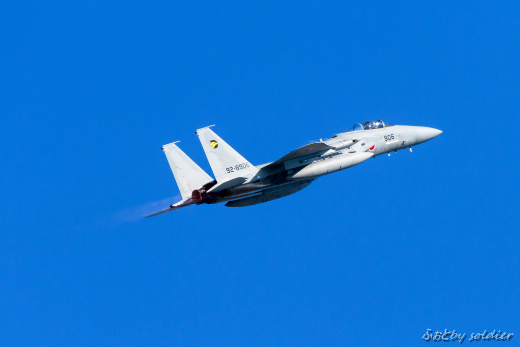 2016A･F浜松_F-15 ④