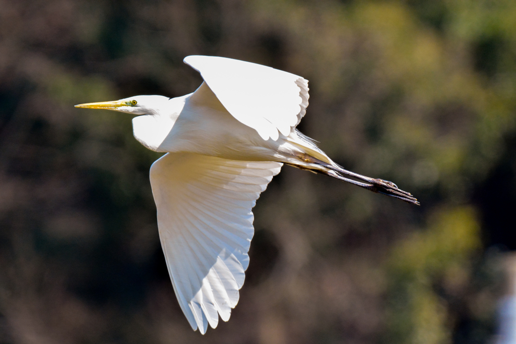 どっちでしょう？