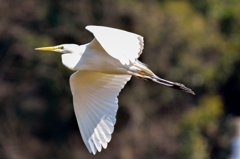 どっちでしょう？