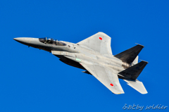 岐阜基地航空祭2015　F-15　①