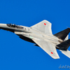 岐阜基地航空祭2015　F-15　①