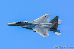 岐阜基地航空祭2015　F-15　②