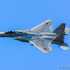 岐阜基地航空祭2015　F-15　②