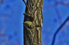 IMG_8249a