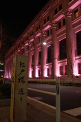 コレド室町桜ライトアップ (3)