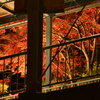 筑波山紅葉