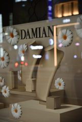 DAMIANI