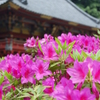 根津神社