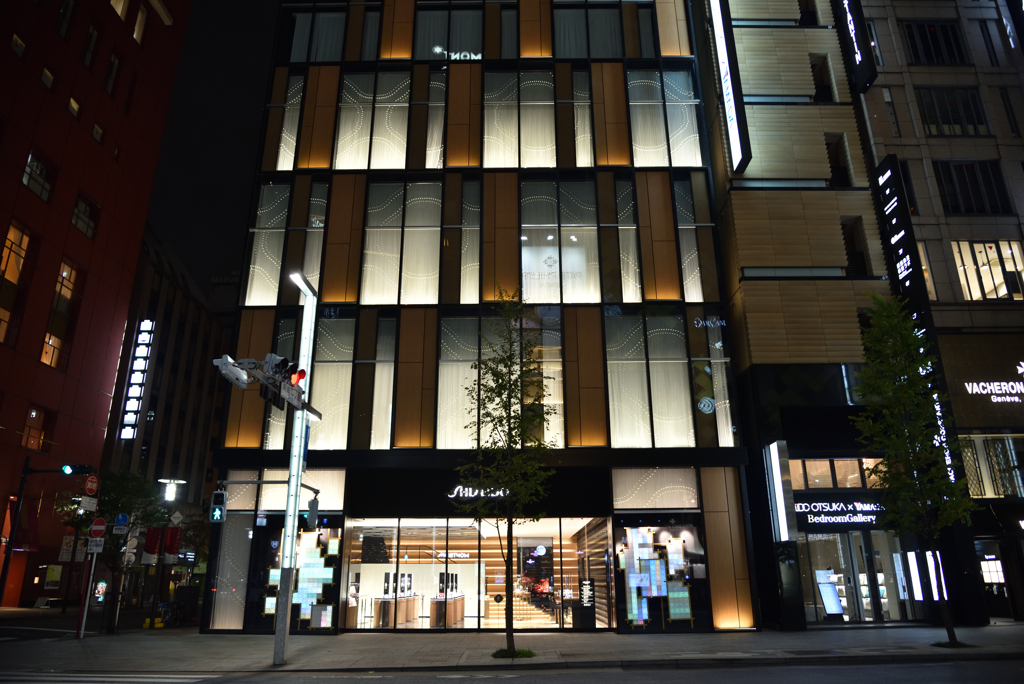 SHISEIDO THE STORE