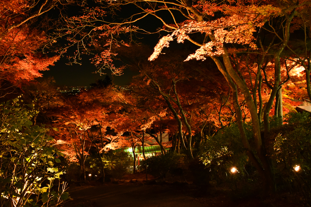 筑波山紅葉
