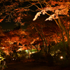 筑波山紅葉