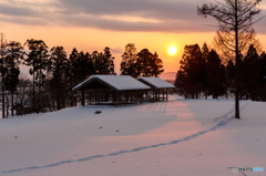 里山の夕暮れ　冬