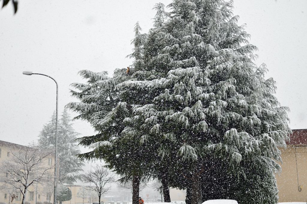 2014年2月　雪の日　弐