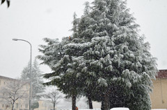 2014年2月　雪の日　弐