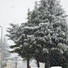 2014年2月　雪の日　弐