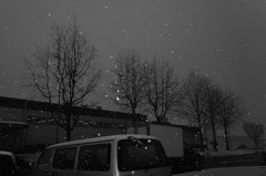 2014年2月　雪の日　壱