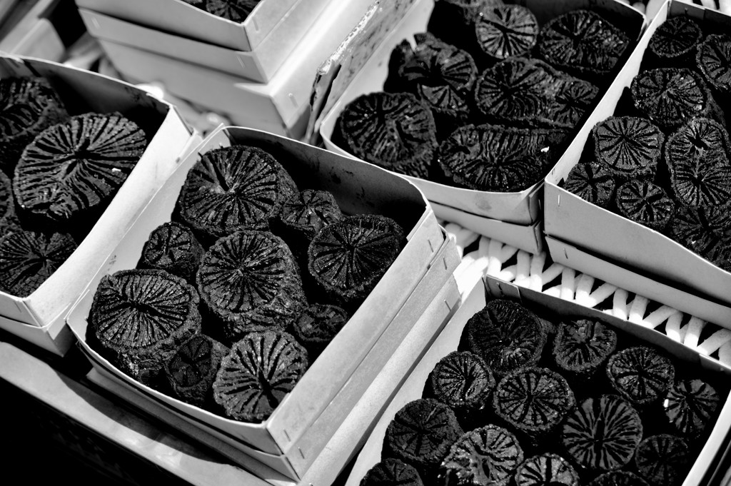 Charcoal