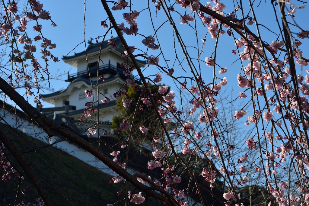 もうちょっとだけ櫻敏郎にお付き合いくださいまし。其の肆