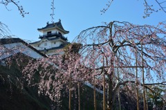 もうちょっとだけ櫻敏郎にお付き合いくださいまし。其の参