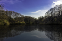 築池（八王子長池公園）