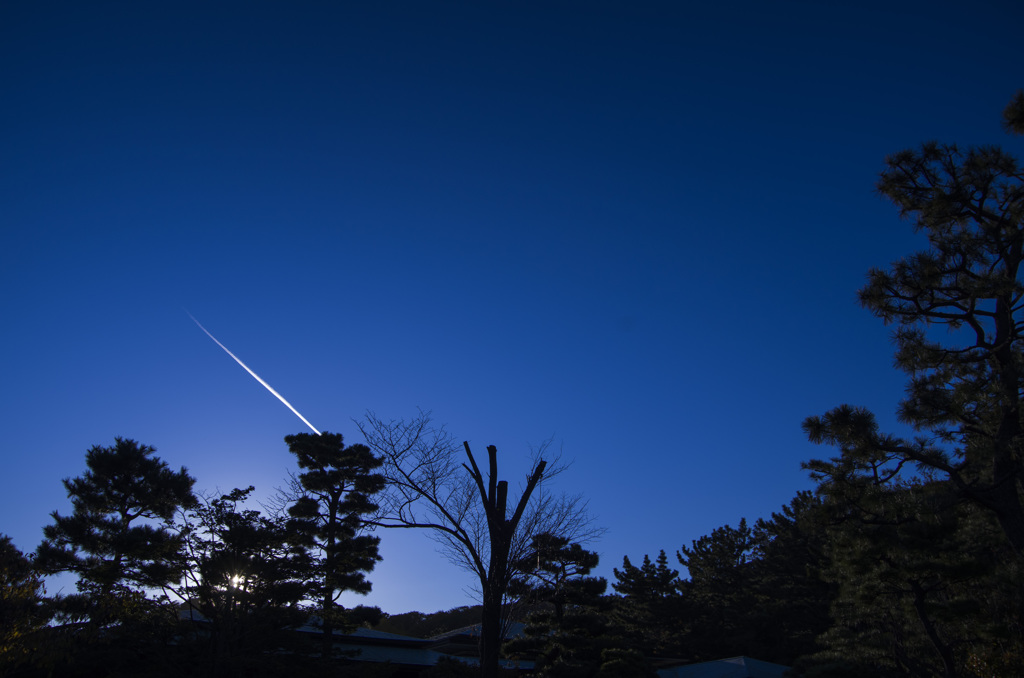 contrail