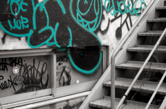 blue line