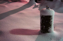 pink snow