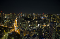 夜景に映るタワー