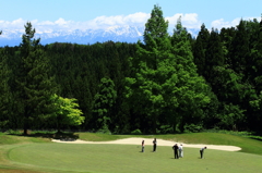 新緑のコース