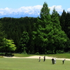 新緑のコース
