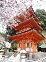 竹生島 宝厳寺