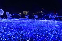 DSC02970