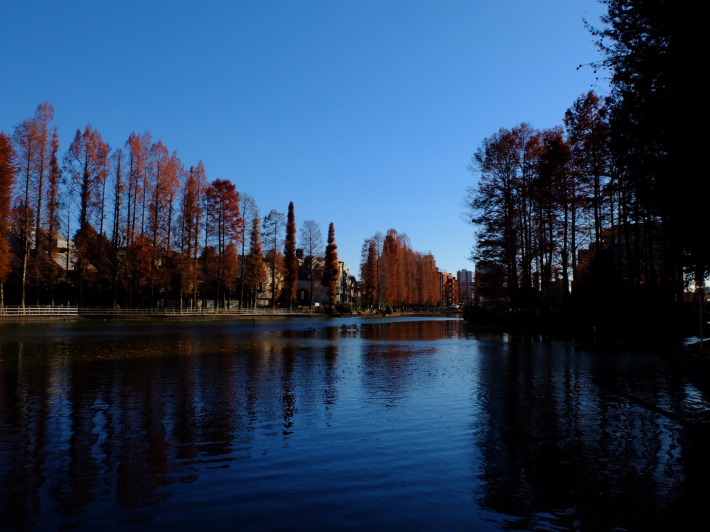 別所沼公園