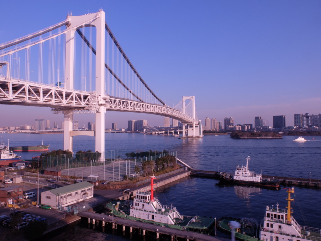 ゆりかものからの風景