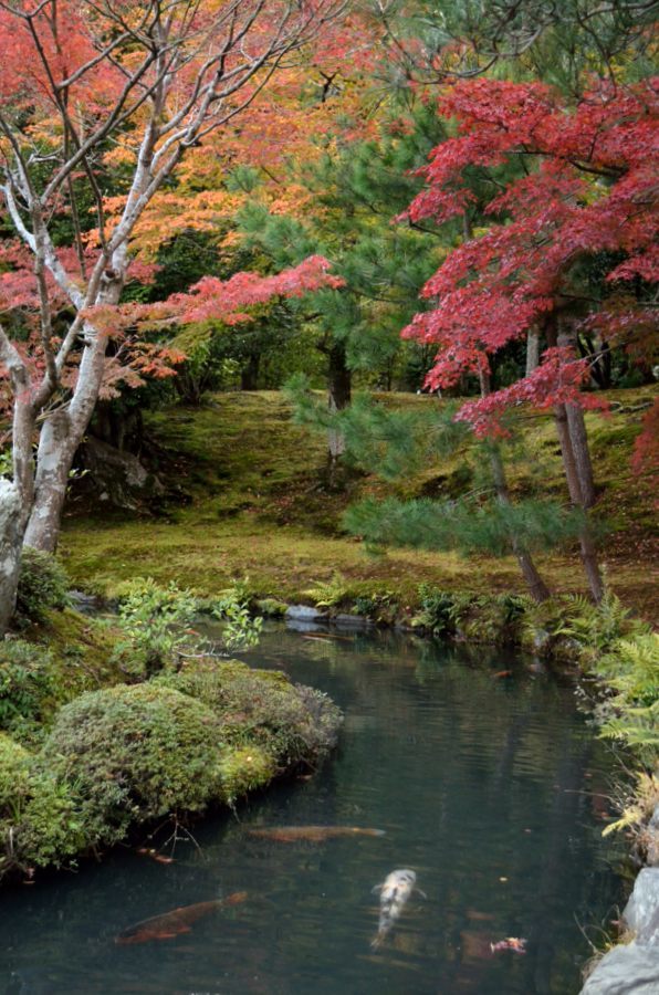 秋色庭園