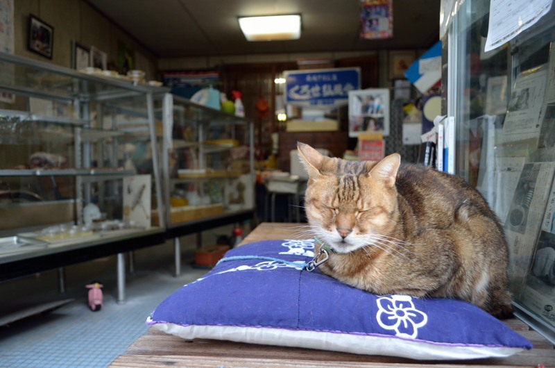店番