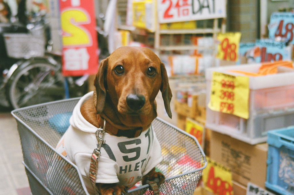 待機中。