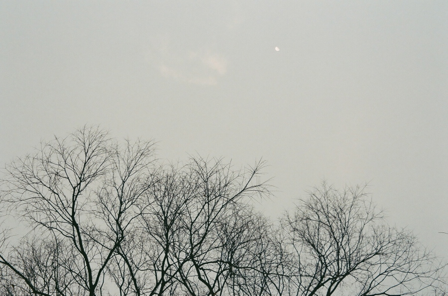 Half Moon