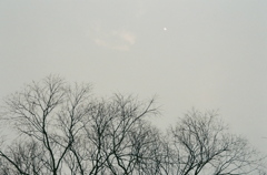 Half Moon