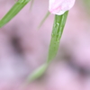 雨の悪戯